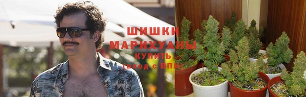 амф Аркадак