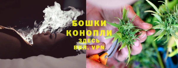 стаф Арсеньев