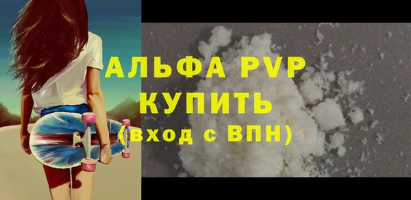 стаф Арсеньев