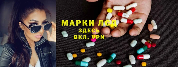 стаф Арсеньев