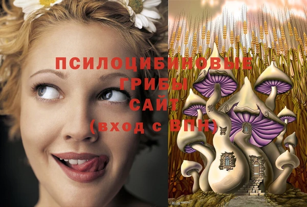 стаф Арсеньев